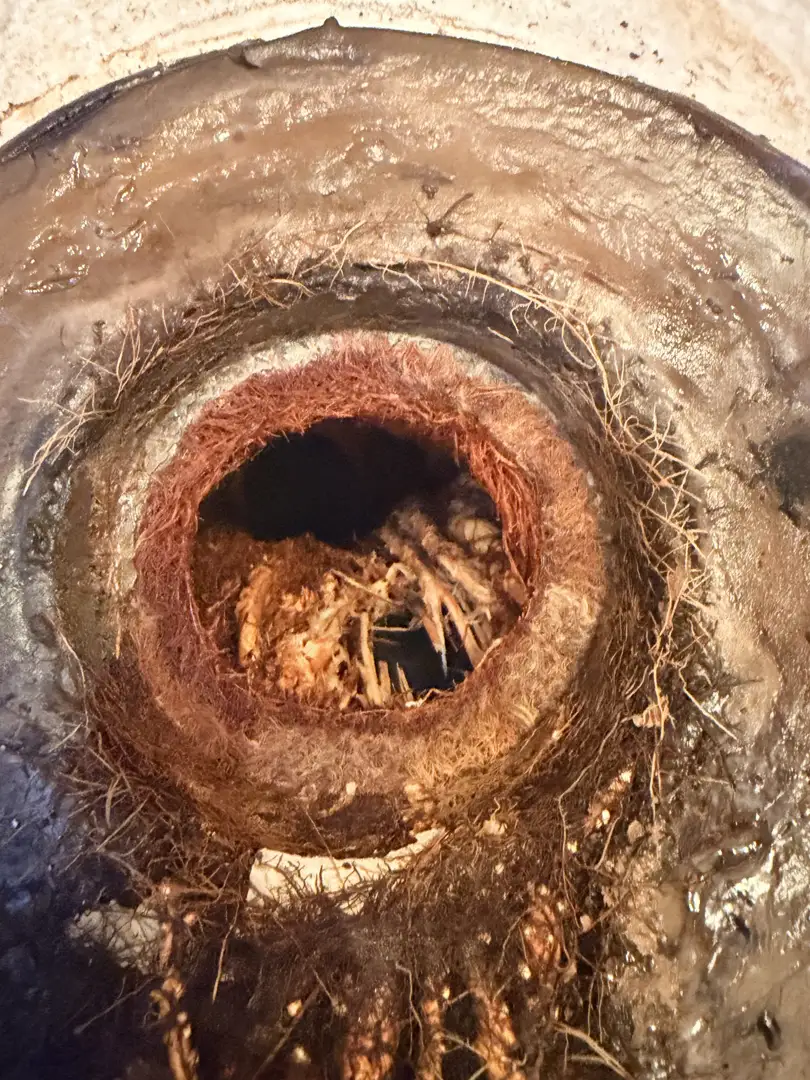 Comparison of a heavily clogged sewer pipe versus a clean pipe after hydro jetting Comparison of a heavily clogged sewer pipe versus a clean pipe after hydro jetting