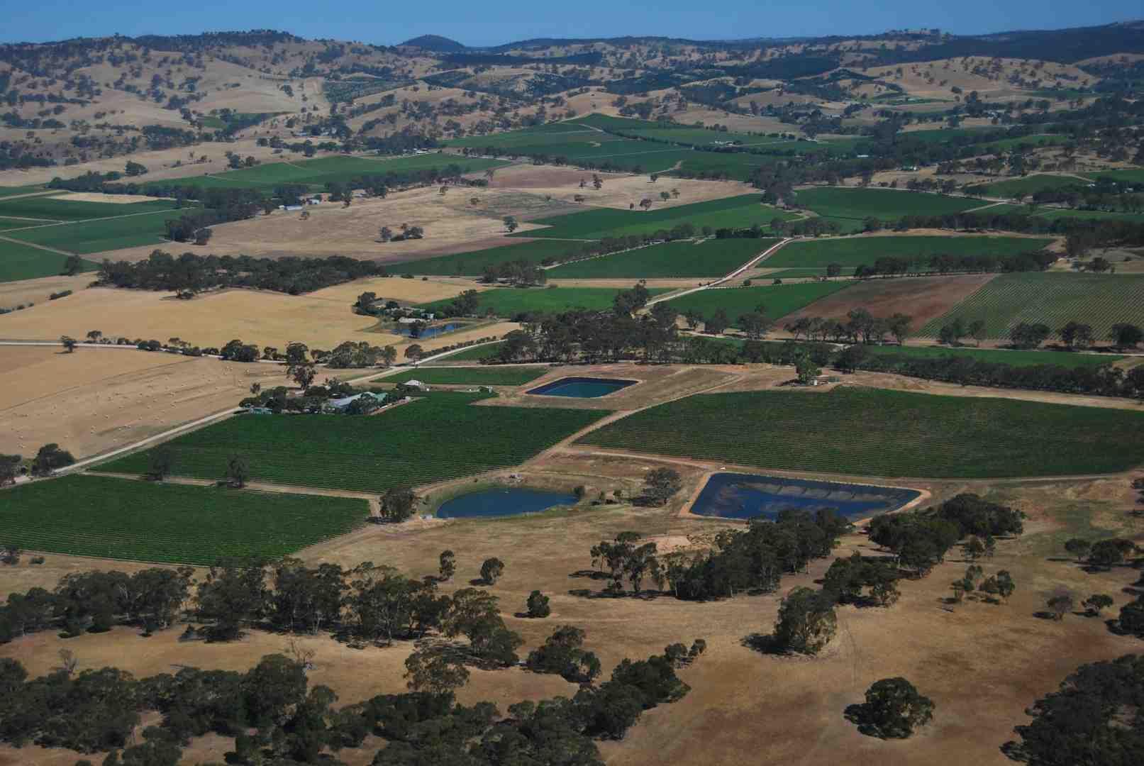 agricultural land - what to look for when buying agricultural land
