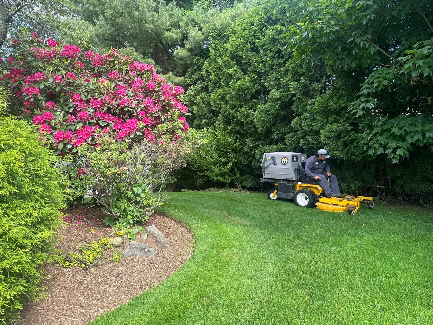 lawn renovation companies near me