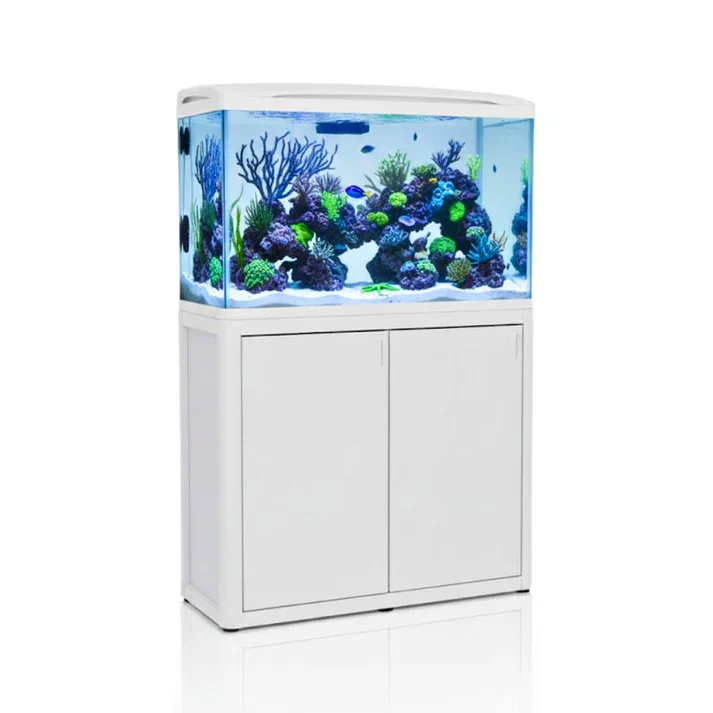 Modern planted home aquarium running quietly on a dedicated stand