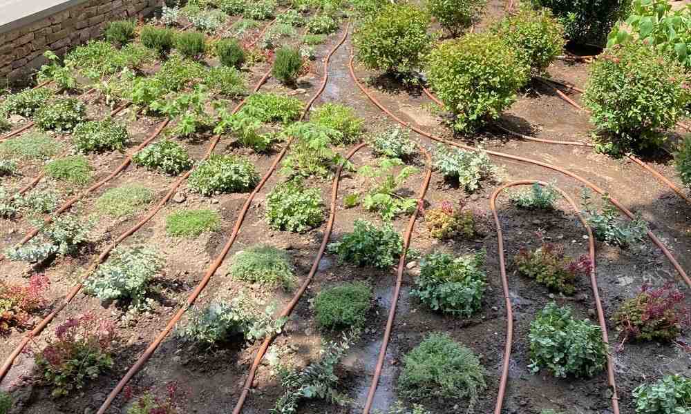 drip irrigation - irrigation supplies