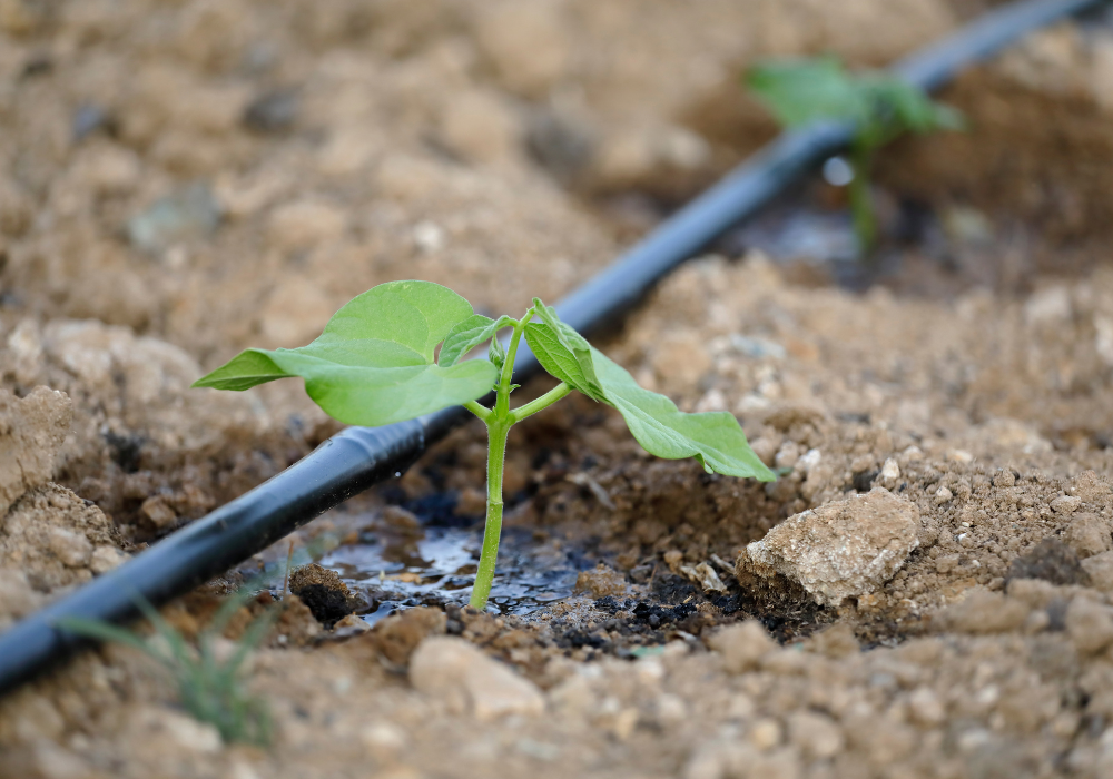 Emitter diagram showing water flow - Drip irrigation system benefits