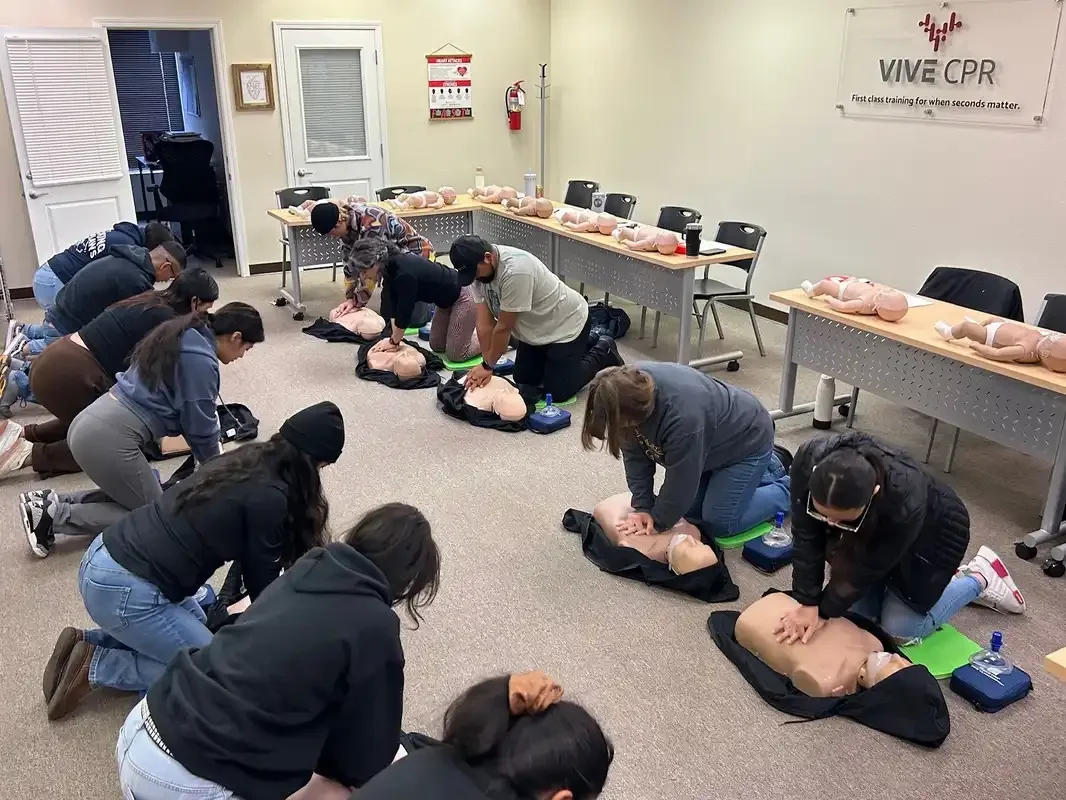 Students practicing chest compressions on a training manikin during a CPR certification class.