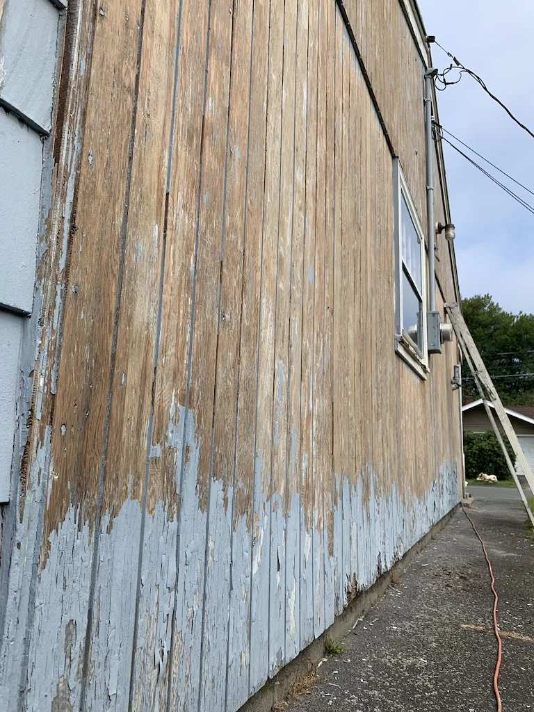 Technician scraping old paint from cedar siding in preparation for painting - North Shore exterior painting