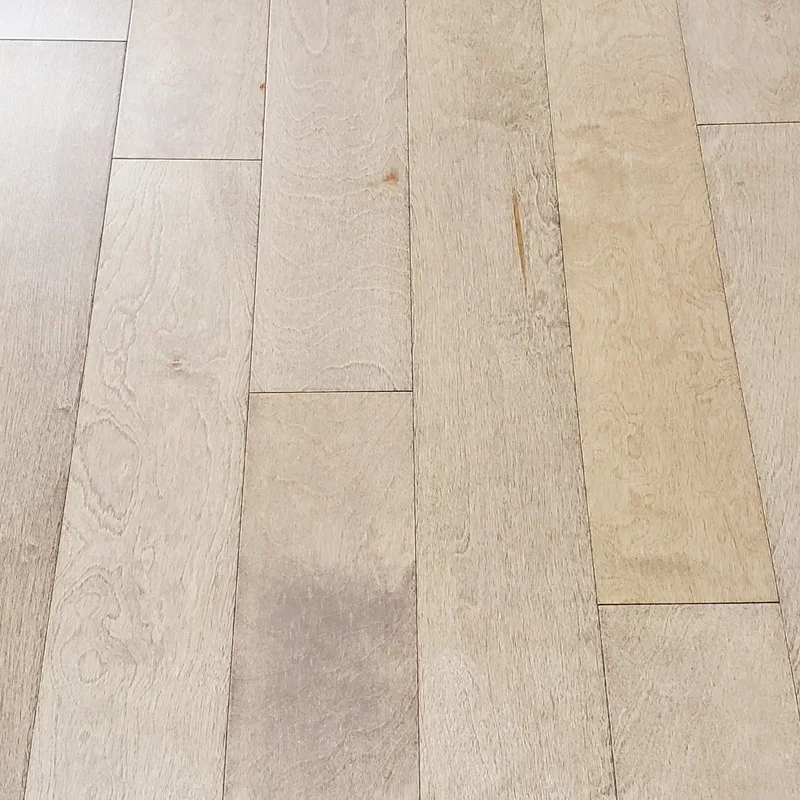 Engineered maple flooring veneer