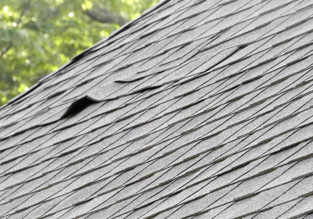 roof cleaning - replacing a flat roof