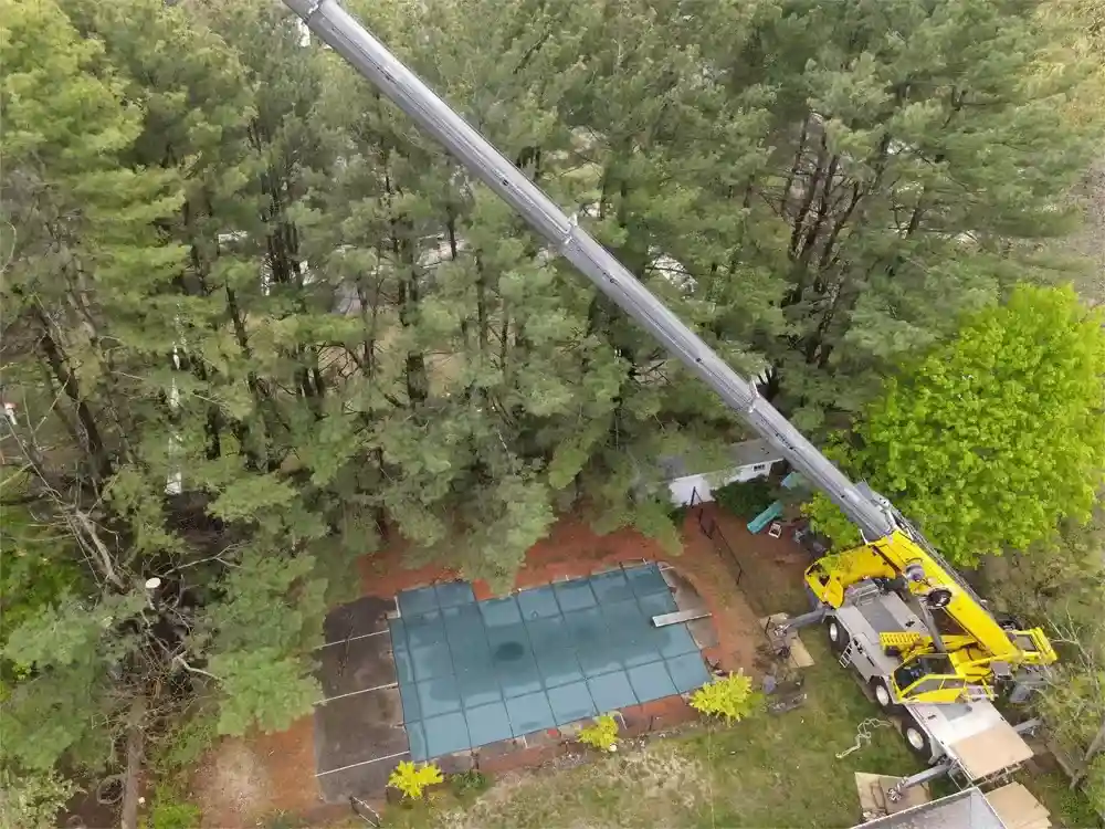 A professional crew using a crane to safely remove a large section of a tree - Tree Removal Winchester MA A professional crew using a crane to safely remove a large section of a tree - Tree Removal Winchester MA