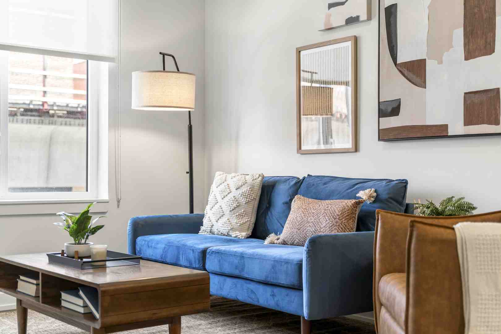 layered window treatments in modern apartment - Apartments with large windows
