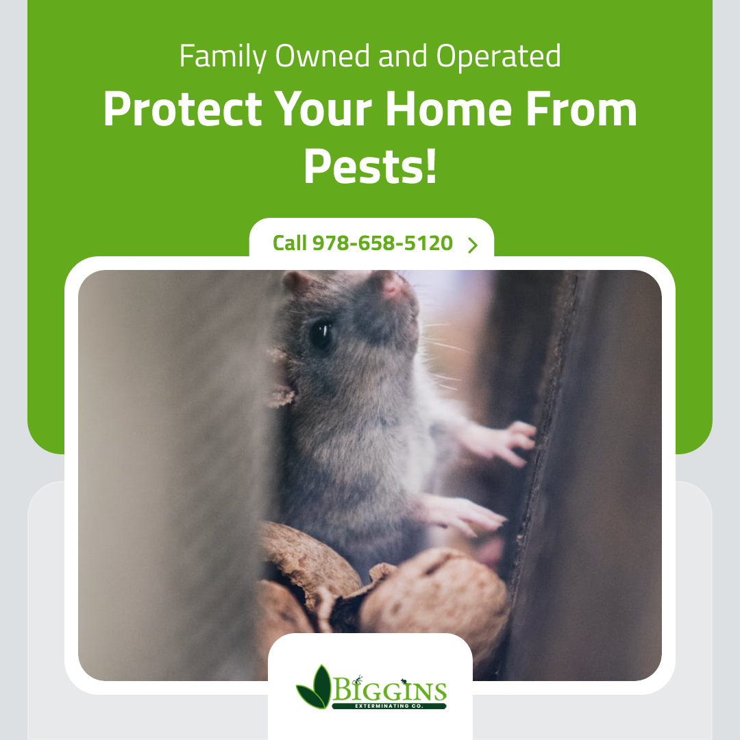 pest control technician responding to emergency call - Exterminators Andover MA