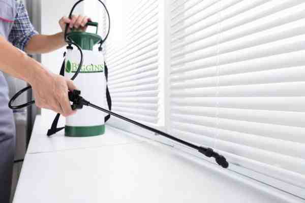 Pest Control Methuen MA