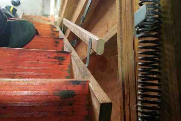 pest control technician inspecting attic for rodents - emergency exterminator near me