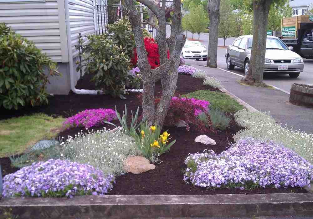 mulch options - mulching service