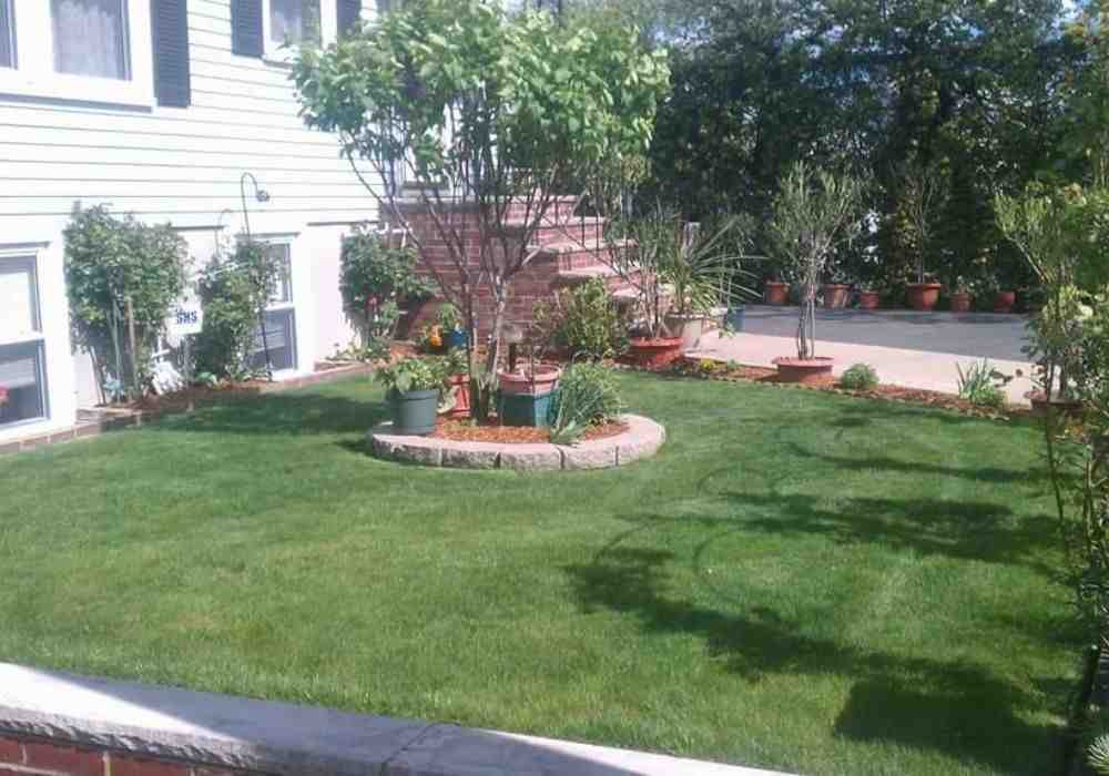 Beautiful yard with clean landscaping - one time yard clean up near me