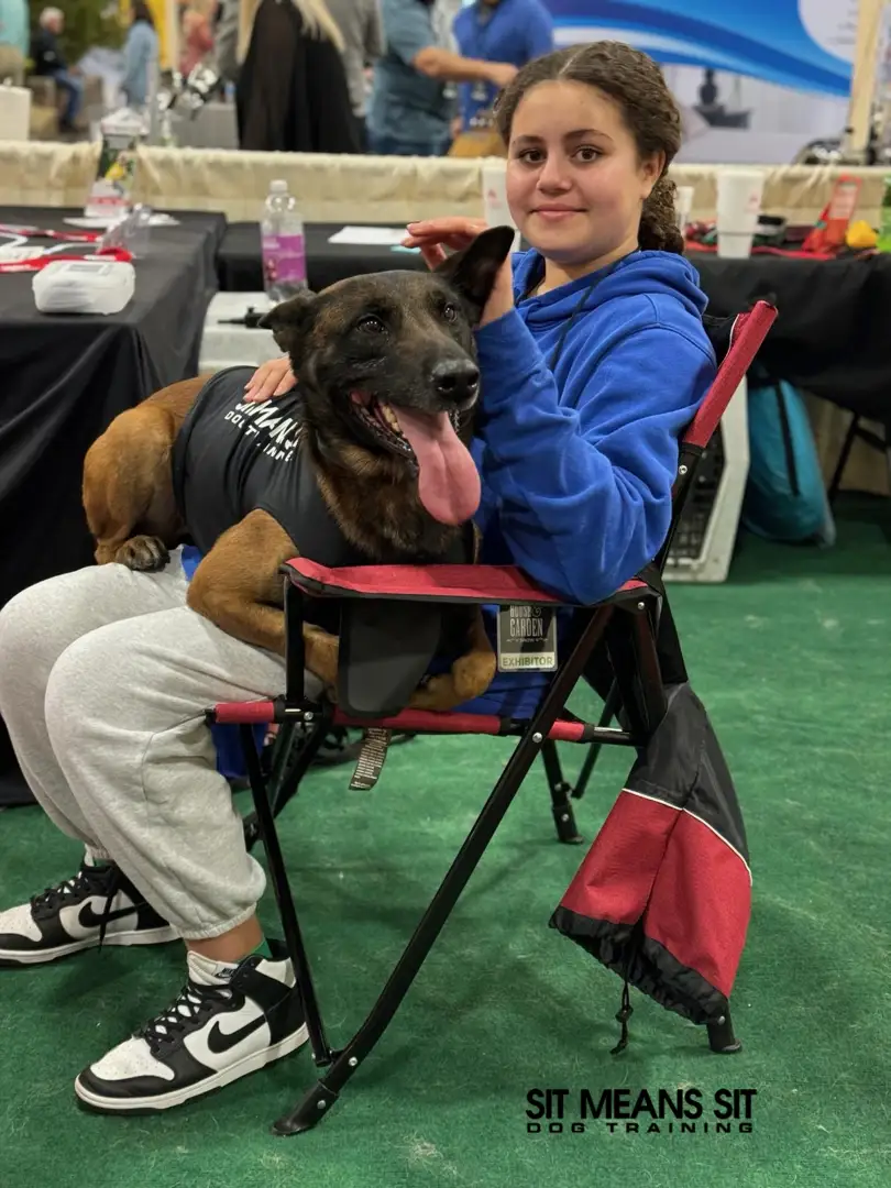 Trainer demonstrating remote touch communication with a focused dog - dog training in Murfreesboro