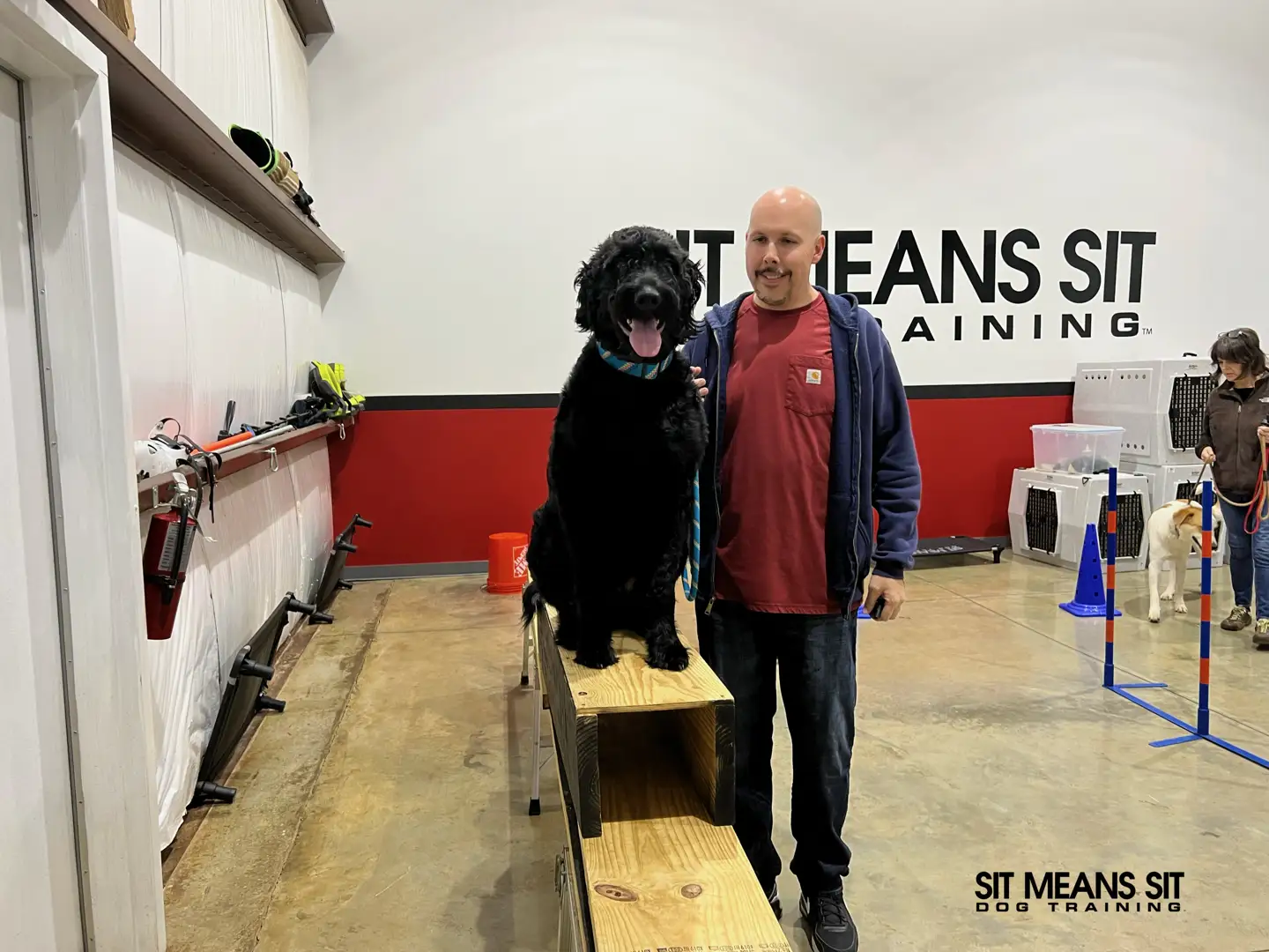 dog in a rock-solid place command amidst distractions in Murfreesboro - dog obedience training murfreesboro tn