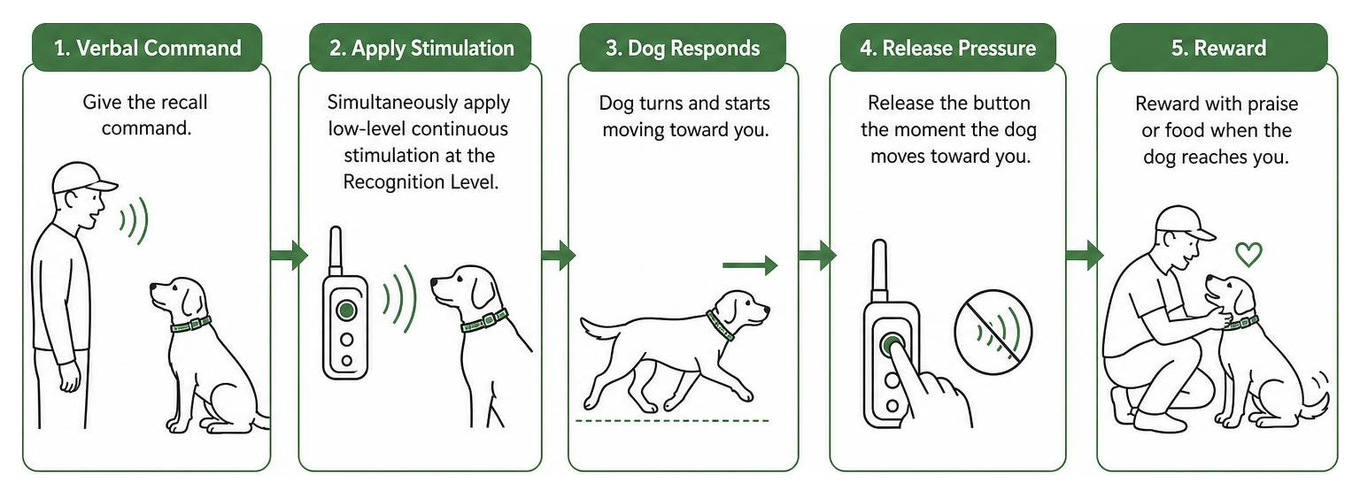 Diagram showing sequence of e collar recall training from verbal command to pressure release Diagram showing sequence of e collar recall training from verbal command to pressure release