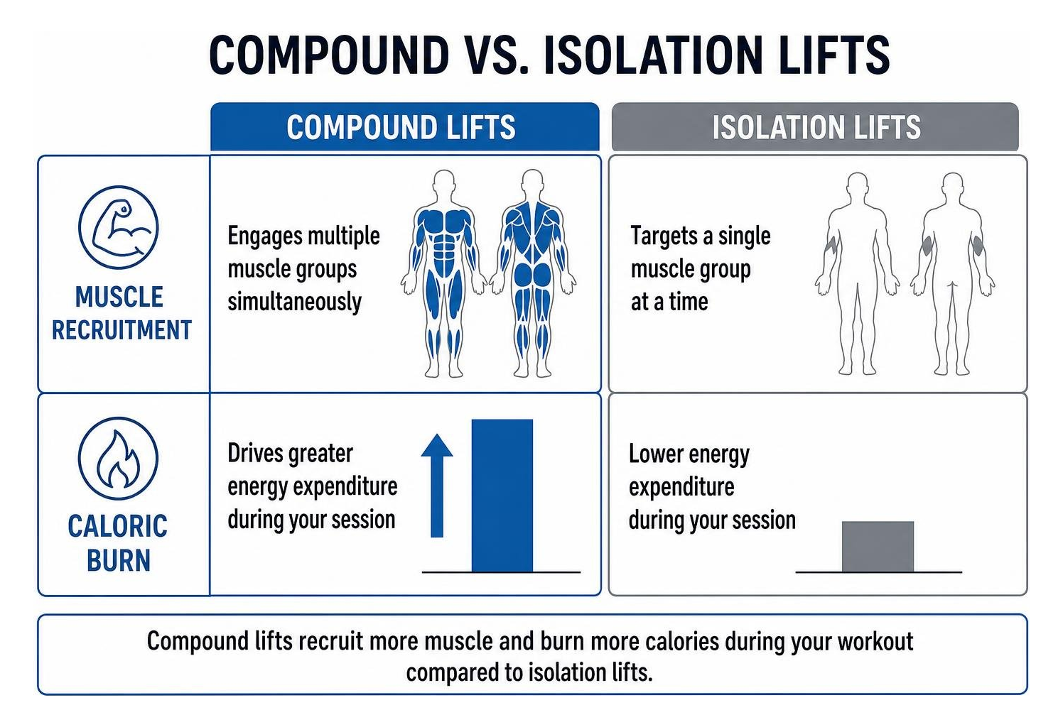 Comparison of muscle recruitment and caloric burn between compound and isolation lifts Comparison of muscle recruitment and caloric burn between compound and isolation lifts
