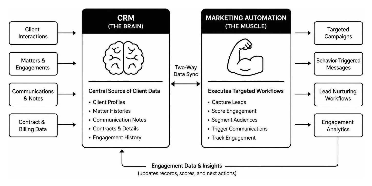 Diagram showing how CRM acts as the brain storing client data while marketing automation acts as the muscle executing Diagram showing how CRM acts as the brain storing client data while marketing automation acts as the muscle executing