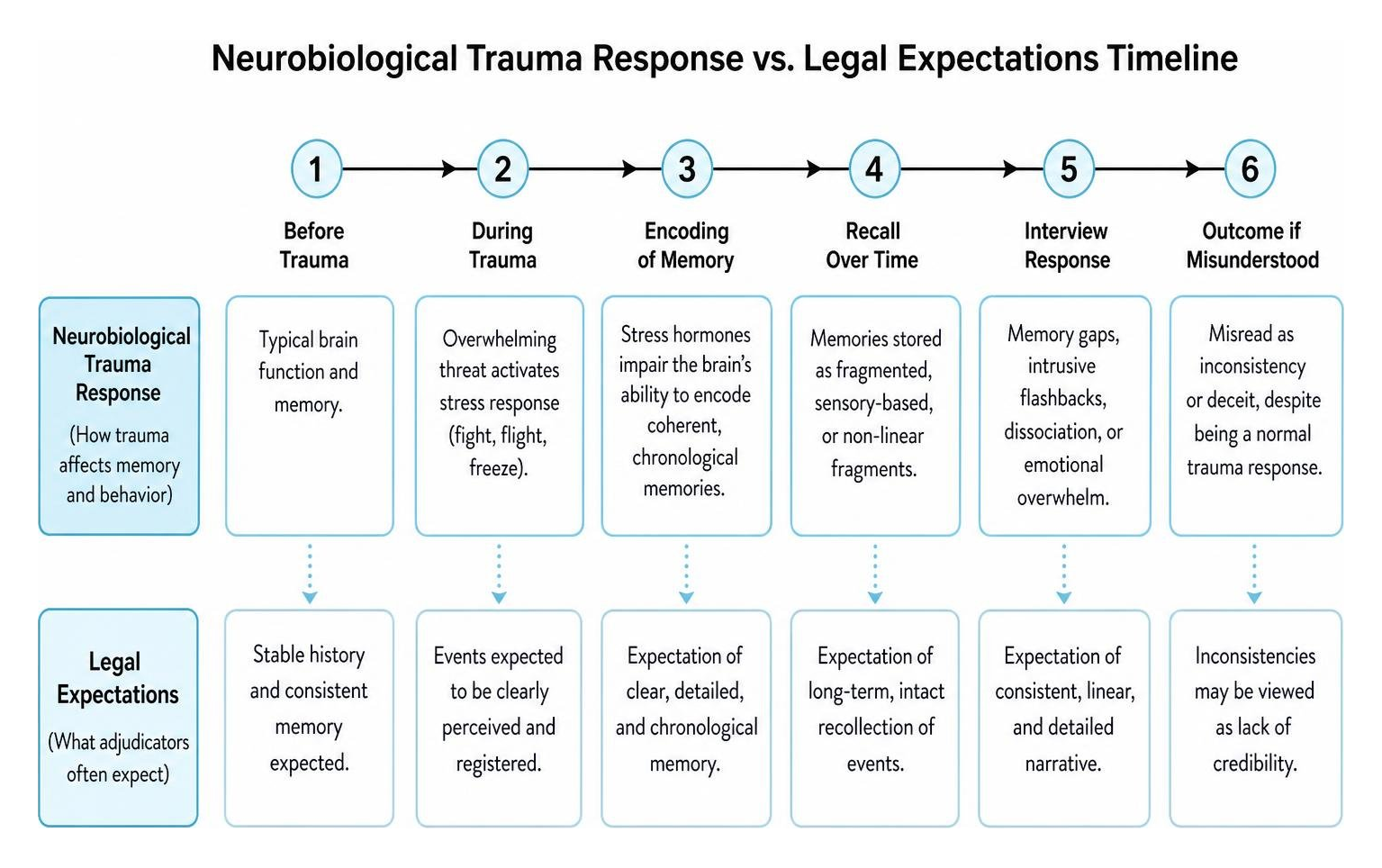 Neurobiological trauma response versus legal expectations timeline Neurobiological trauma response versus legal expectations timeline
