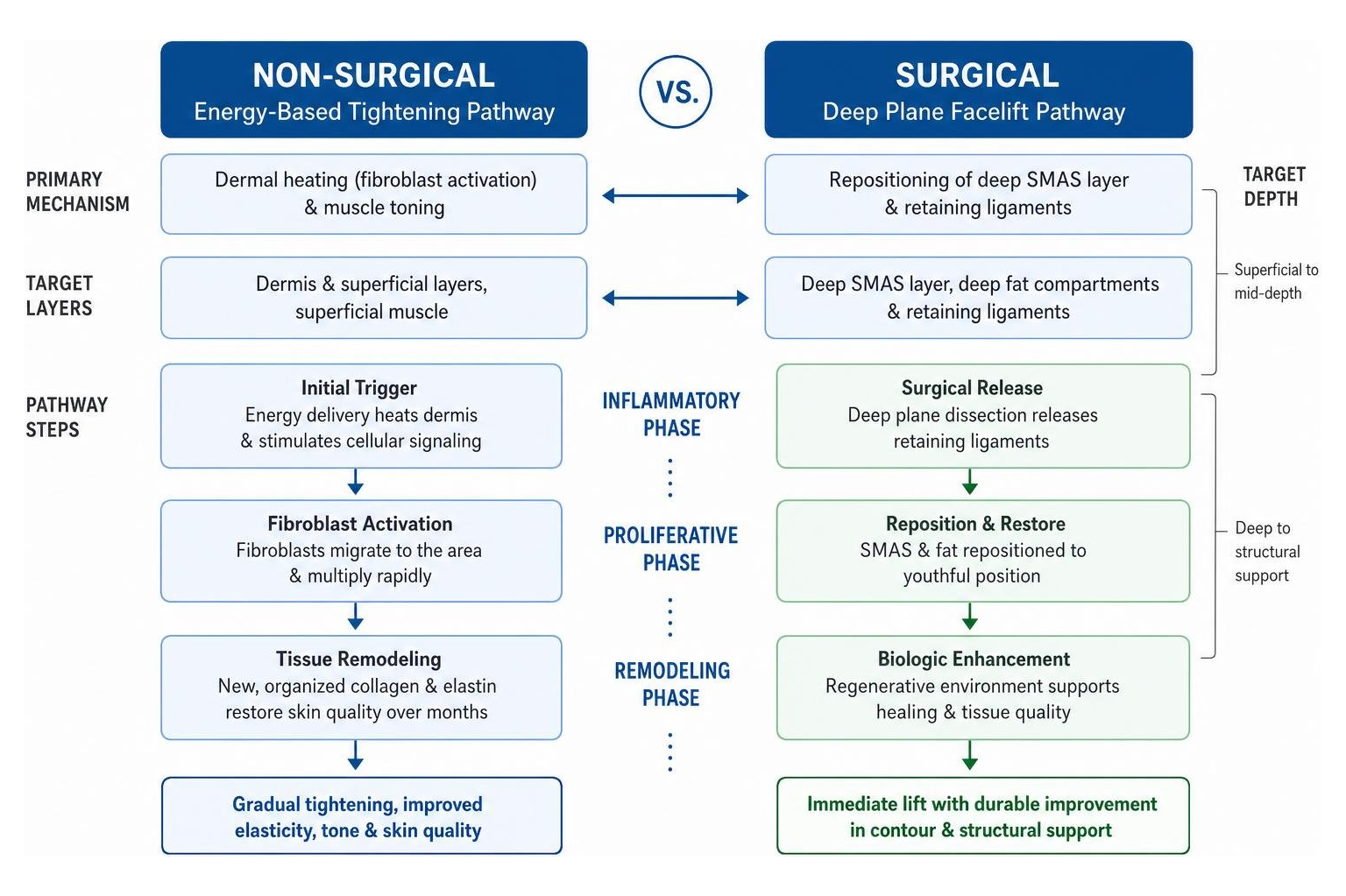 Comparison of non-surgical energy-based tightening versus surgical deep plane facelift pathways Comparison of non-surgical energy-based tightening versus surgical deep plane facelift pathways