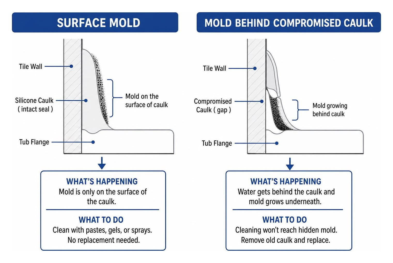 Diagram showing surface mold versus mold growing behind compromised caulk Diagram showing surface mold versus mold growing behind compromised caulk