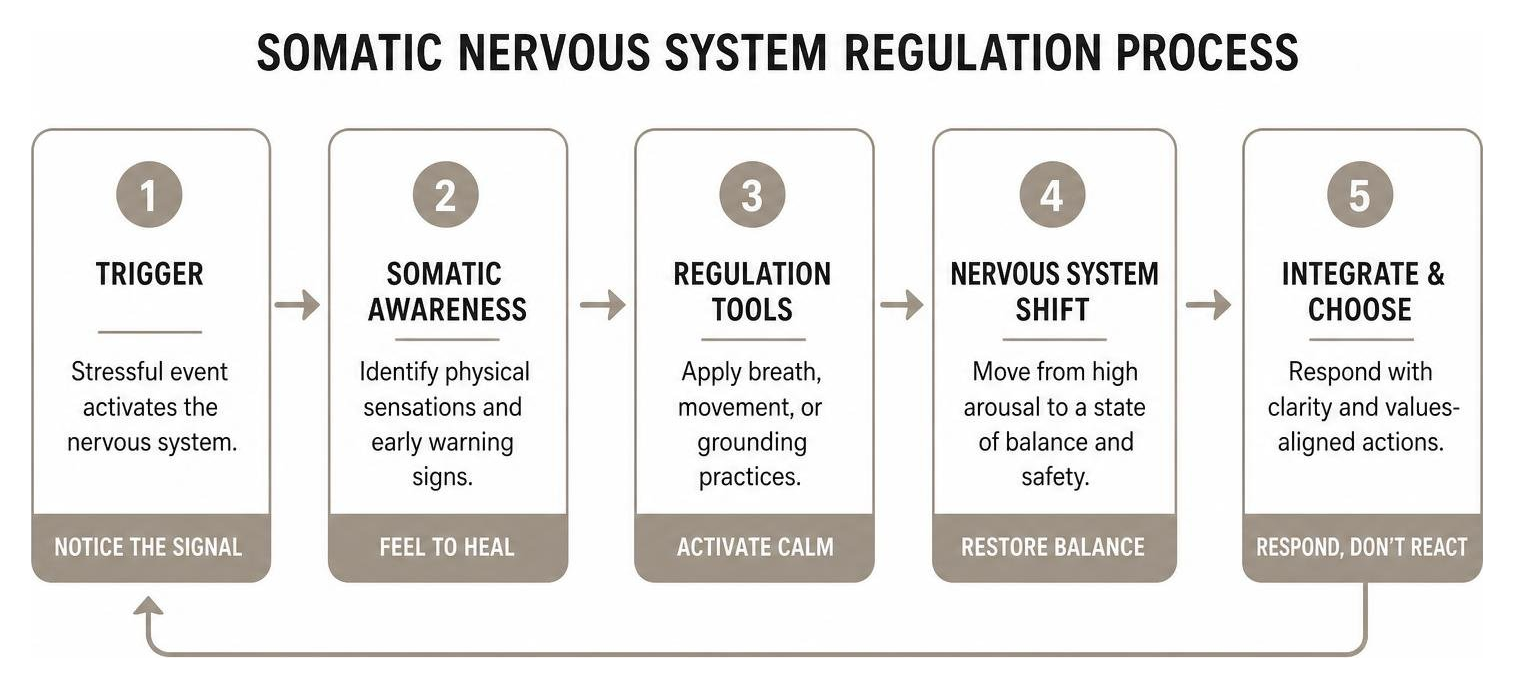 Somatic Nervous System Regulation Process