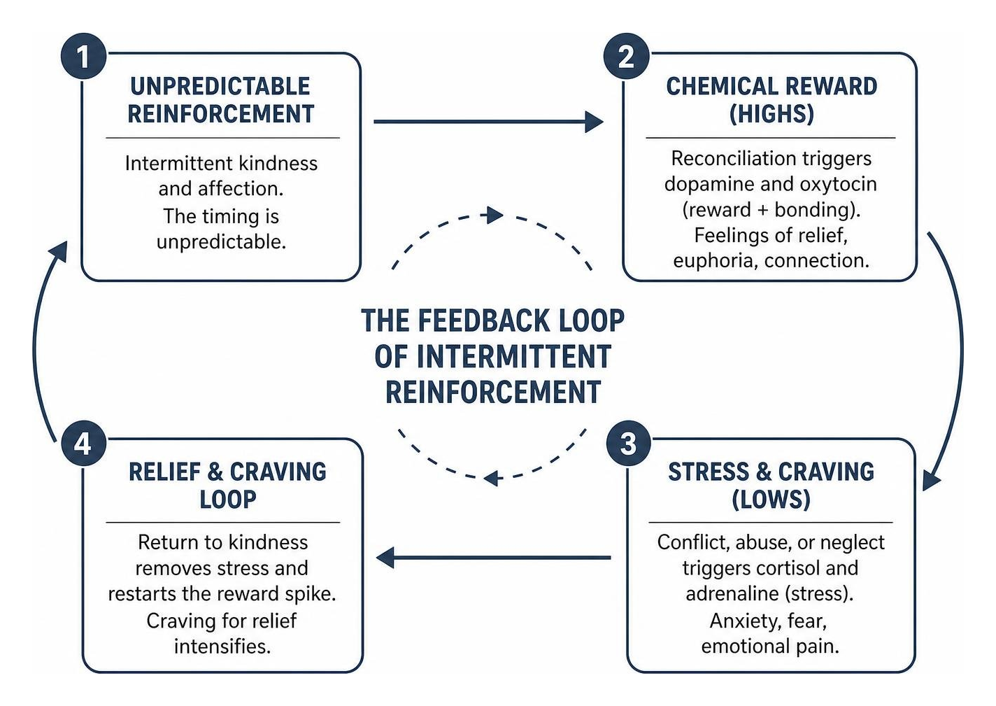 Diagram showing the feedback loop of intermittent reinforcement and chemical cravings in the brain