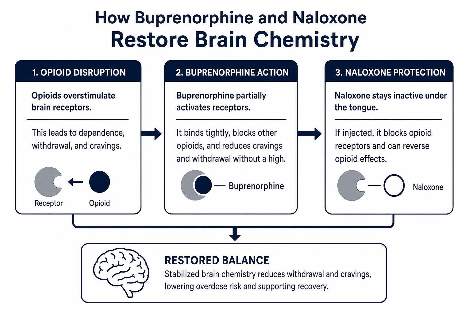 How buprenorphine and naloxone restore brain chemistry