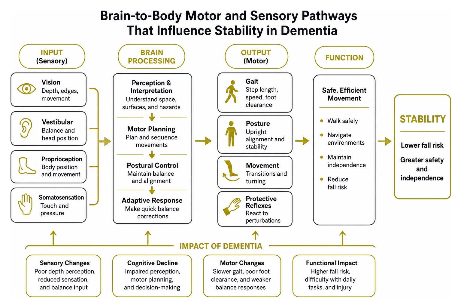 Brain-to-body motor and sensory pathways that influence stability in dementia Brain-to-body motor and sensory pathways that influence stability in dementia