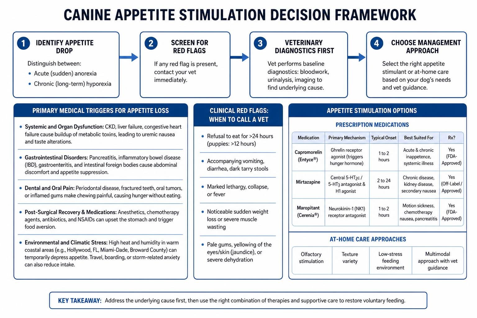 Canine appetite stimulation decision framework Canine appetite stimulation decision framework