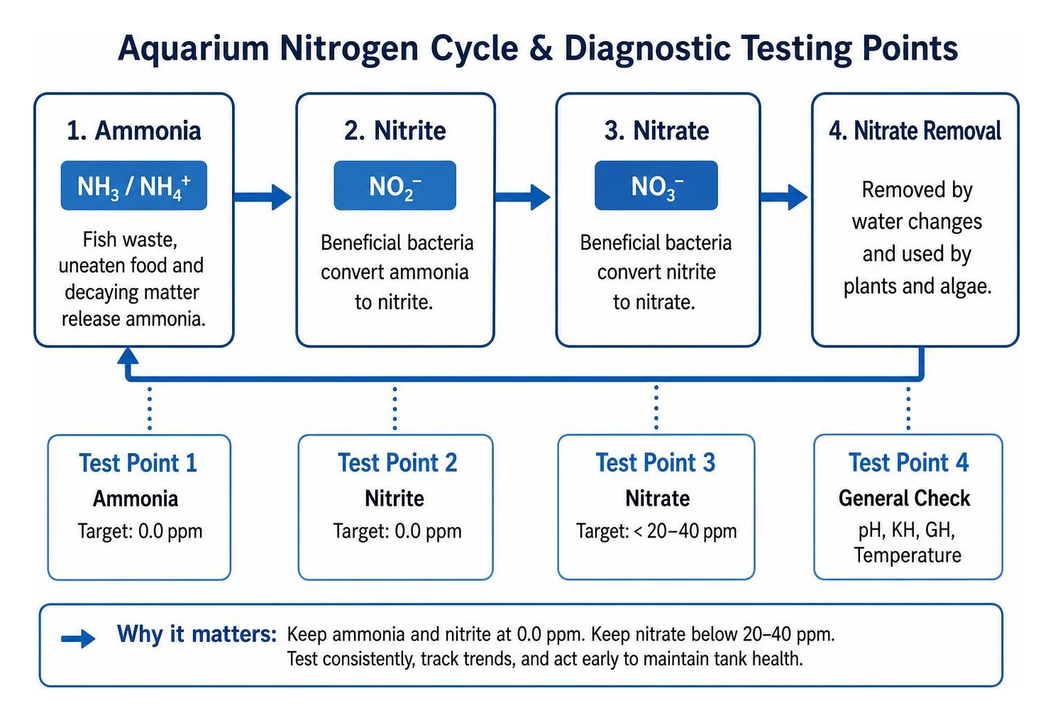 The aquarium nitrogen cycle and diagnostic testing points