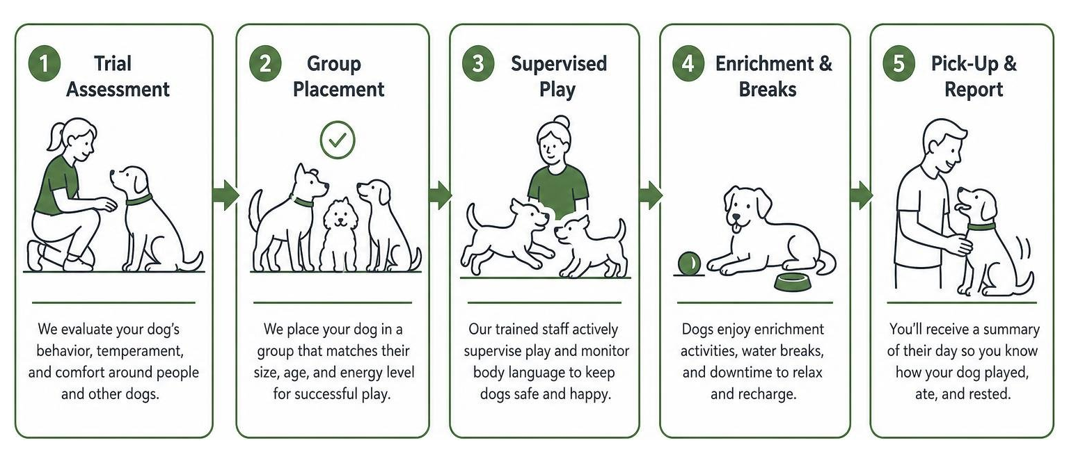 temperament assessment and group play process diagram temperament assessment and group play process diagram