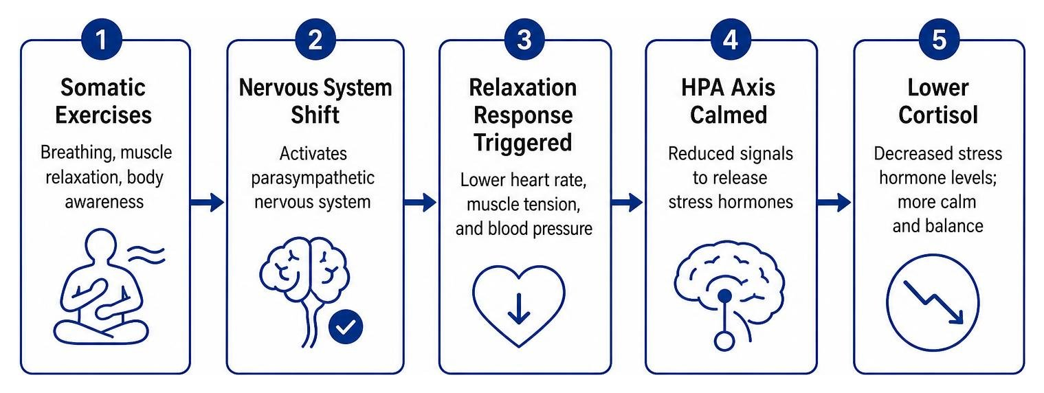 Diagram showing how somatic exercises trigger the relaxation response and lower cortisol