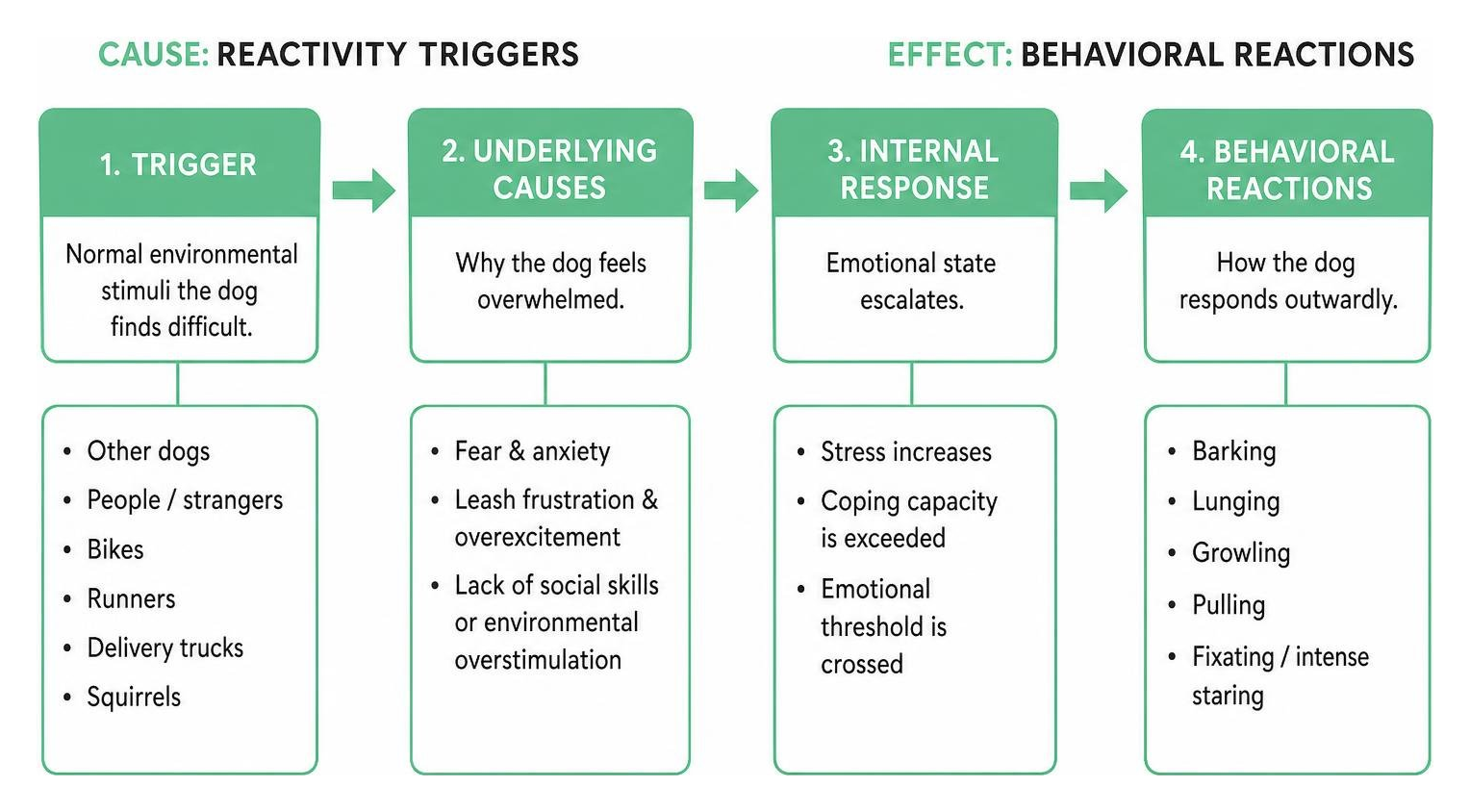 cause and effect of dog reactivity triggers leading to behavioral reactions cause and effect of dog reactivity triggers leading to behavioral reactions