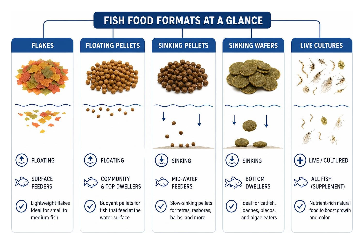 comparison of fish food formats including flakes floating pellets sinking wafers and live cultures