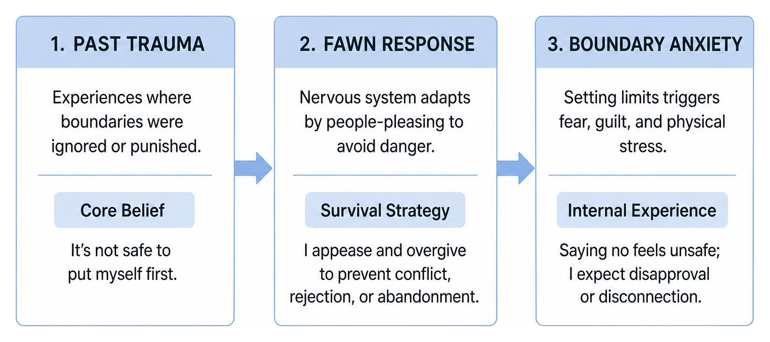 The relationship between past trauma, the fawn response, and boundary anxiety The relationship between past trauma, the fawn response, and boundary anxiety