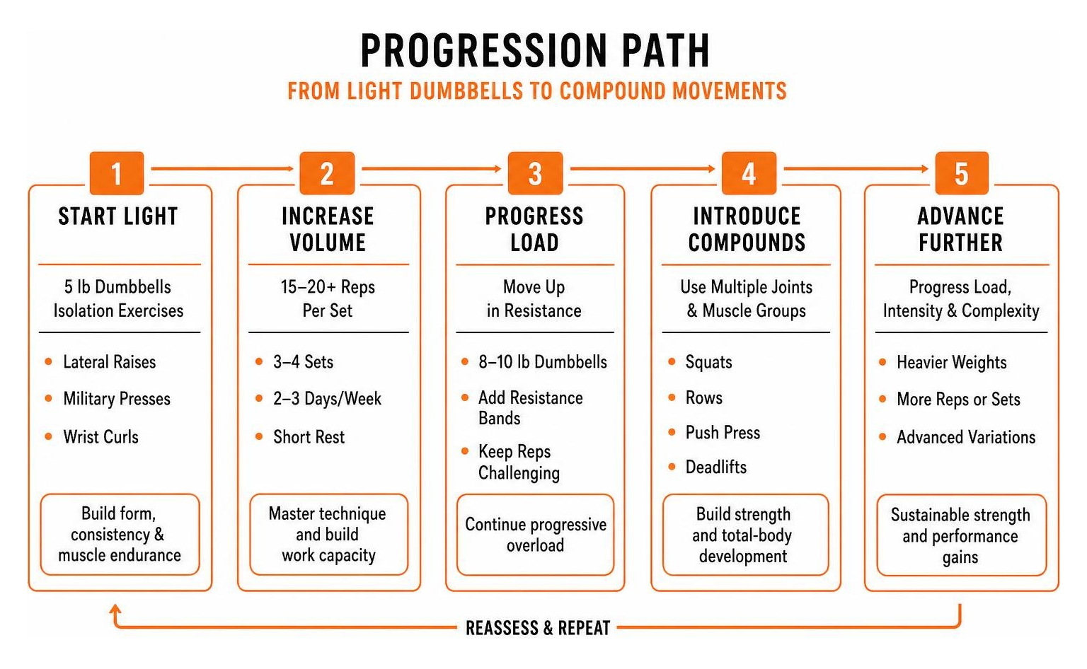 Progression path from light dumbbells to compound movements