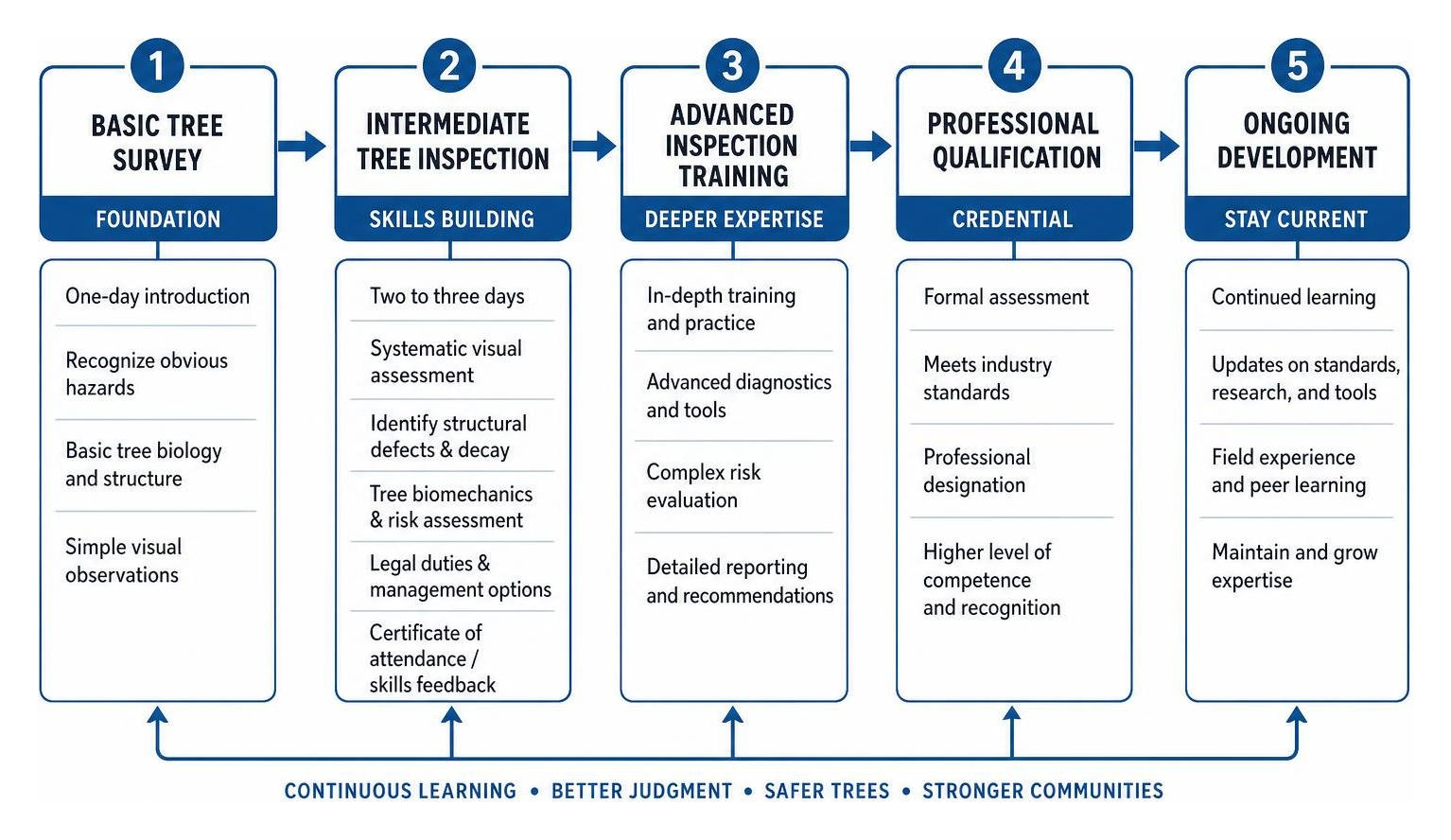 tree inspection training progression pathway tree inspection training progression pathway