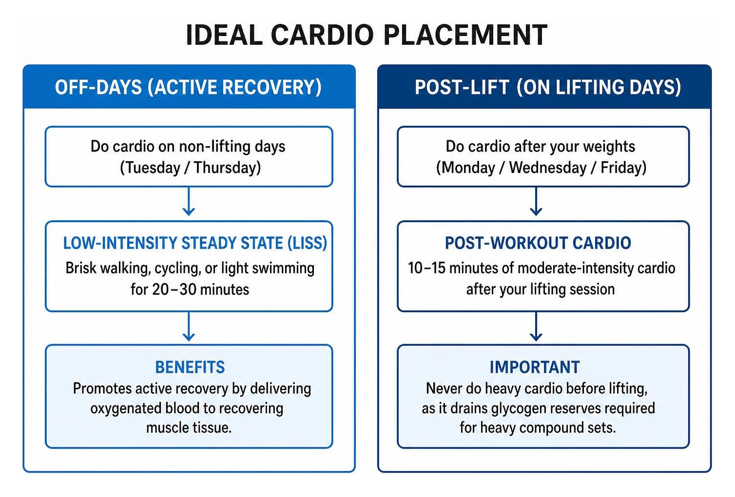 Diagram showing ideal cardio placement on off-days versus post-lifting sessions Diagram showing ideal cardio placement on off-days versus post-lifting sessions