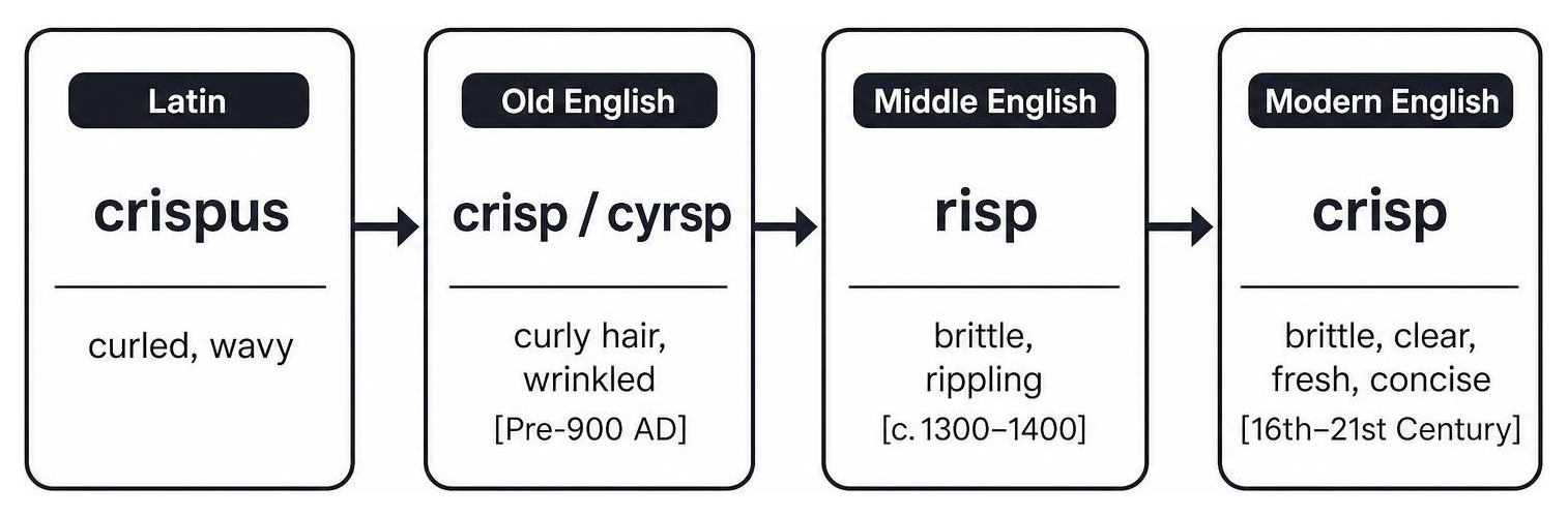 Linguistic evolution diagram from Latin crispus to modern English crisp