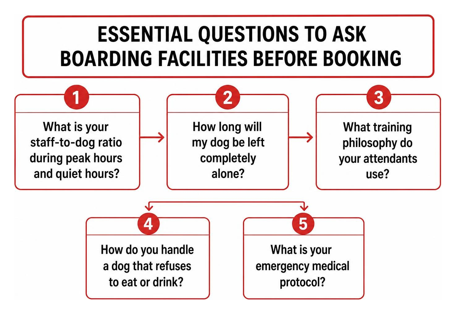framework diagram showing questions to ask a boarding facility before booking framework diagram showing questions to ask a boarding facility before booking