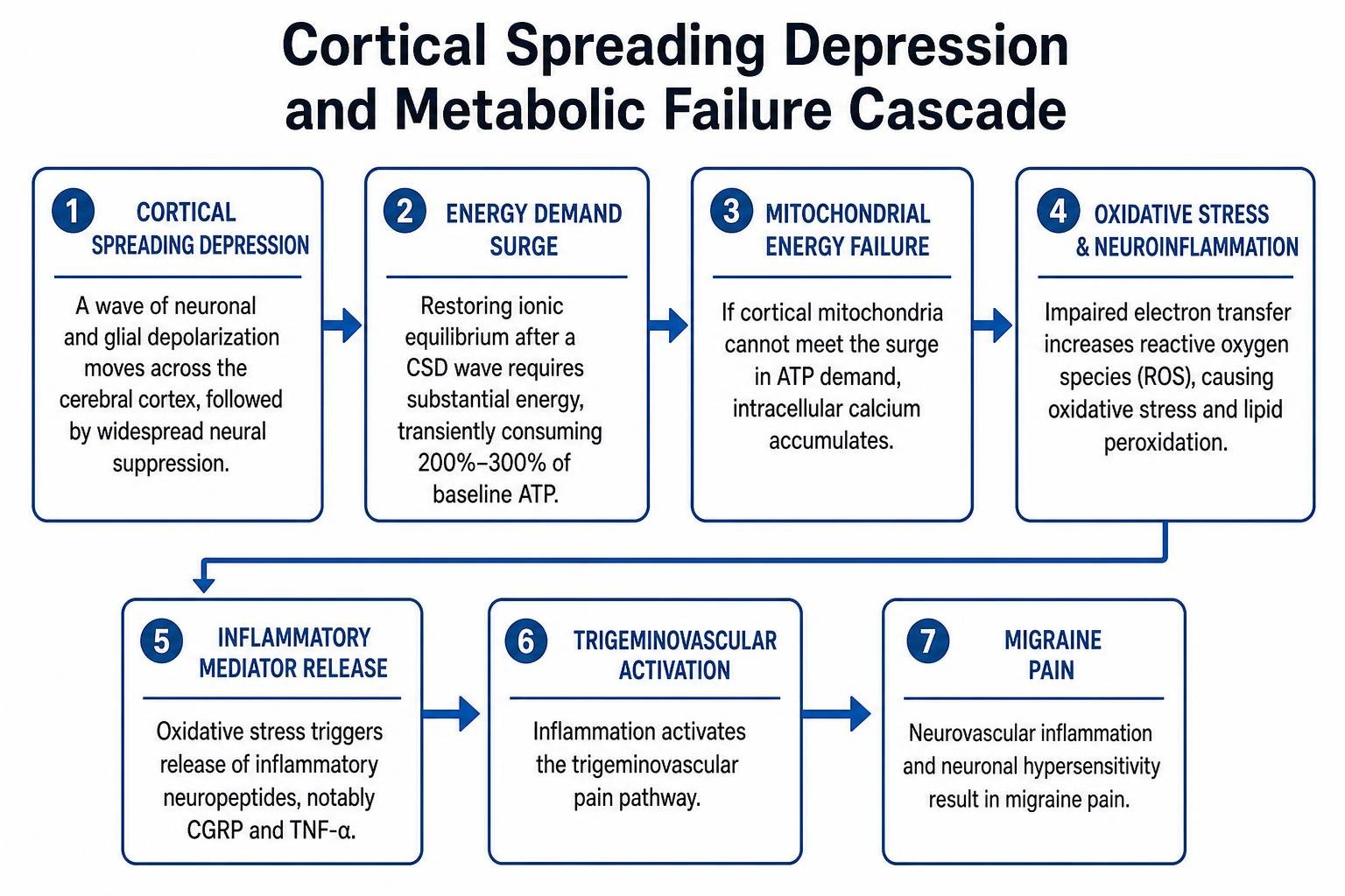 Diagram: Cortical Spreading Depression and Metabolic Failure Cascade