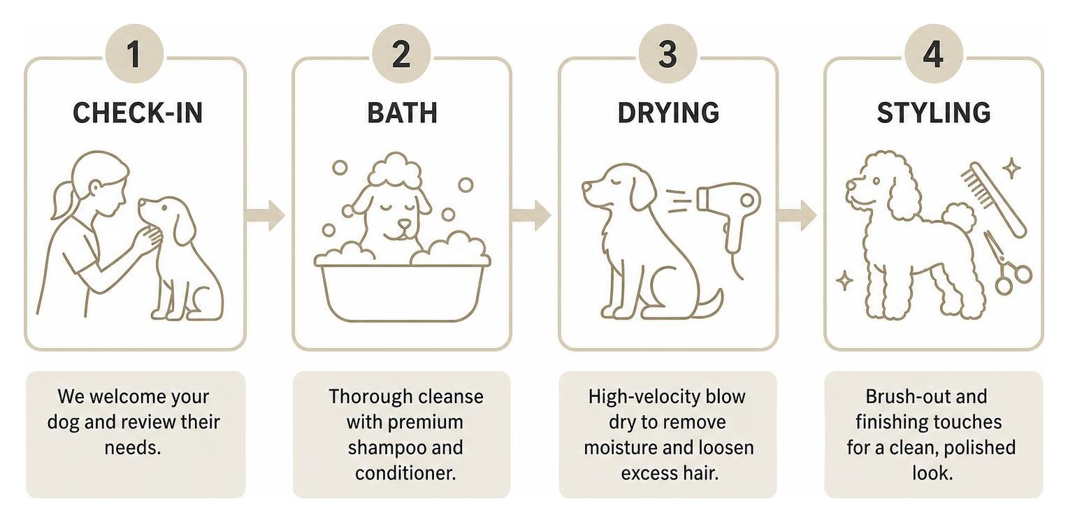 Step-by-step grooming workflow showing check-in, bath, drying, and styling