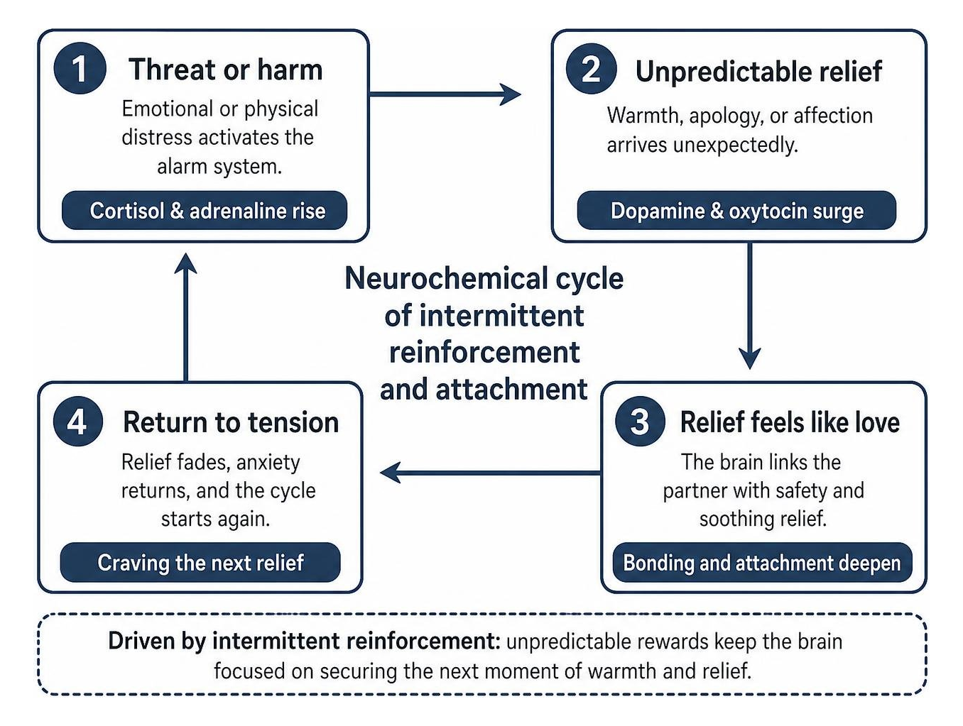 Neurochemical cycle of intermittent reinforcement and attachment Neurochemical cycle of intermittent reinforcement and attachment