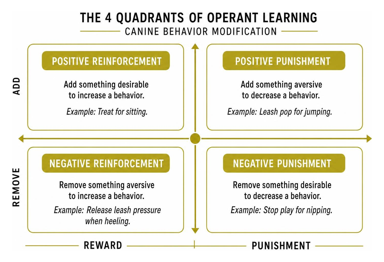 four quadrants of operant learning diagram for canine behavior modification