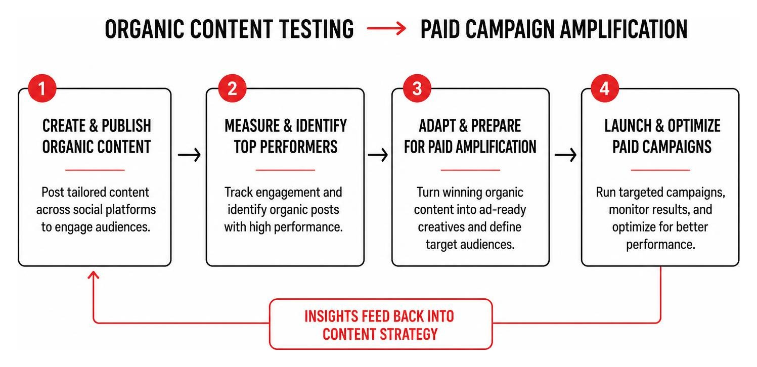 workflow showing organic content testing leading to paid campaign amplification