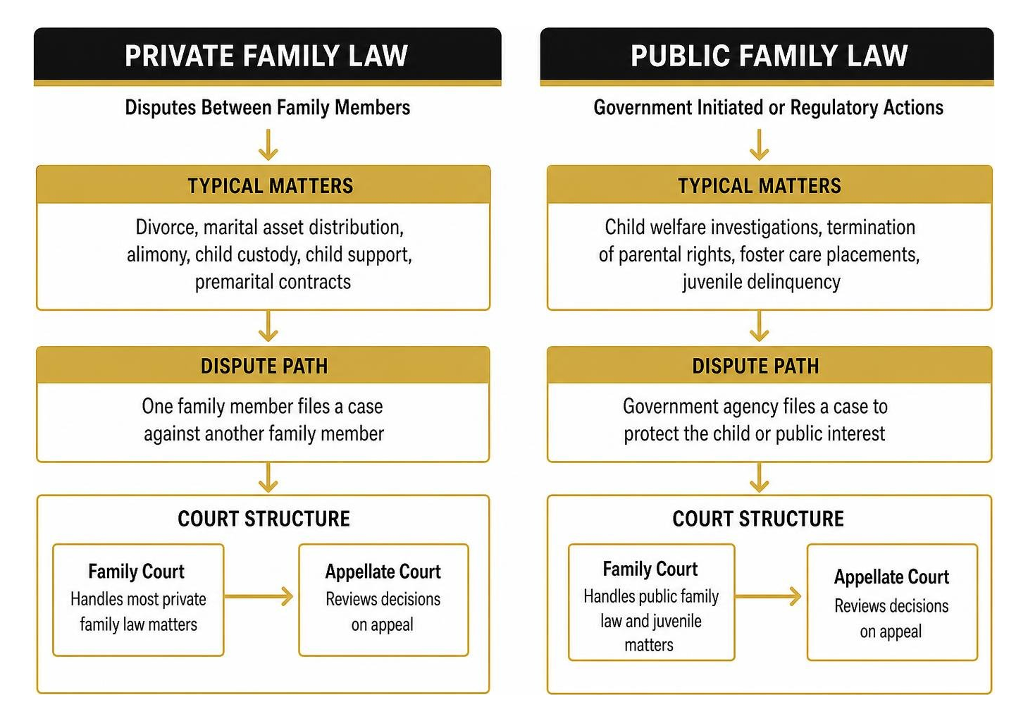Diagram showing private family law versus public family law dispute paths and court structures Diagram showing private family law versus public family law dispute paths and court structures