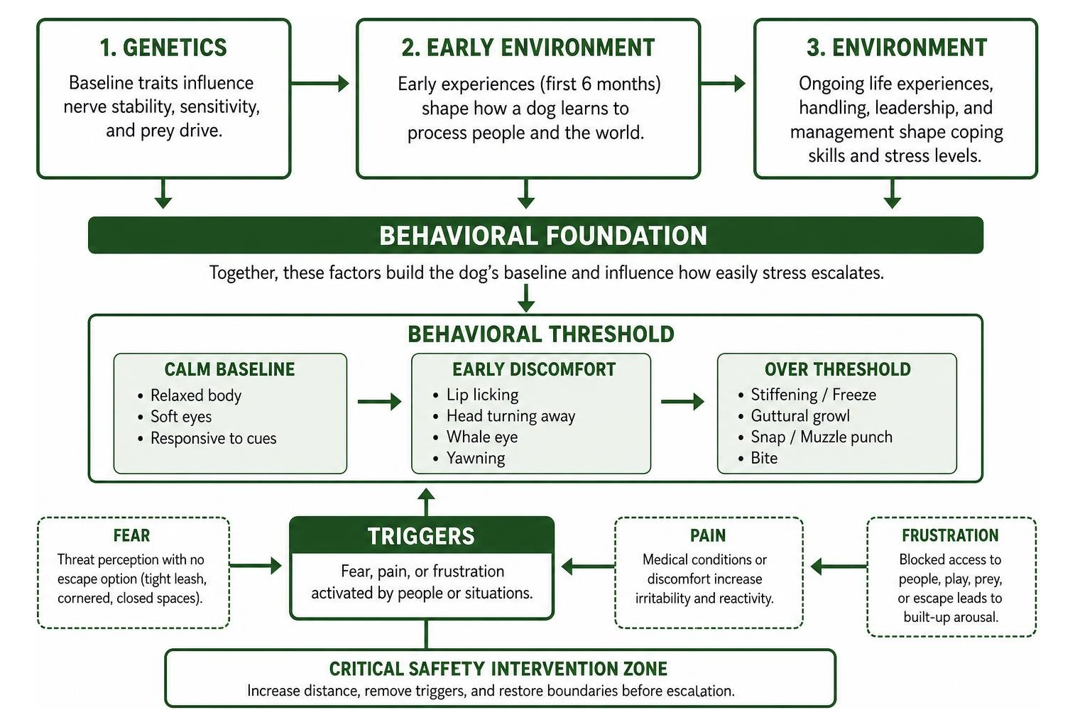 canine aggression development process from genetics to environment to triggers canine aggression development process from genetics to environment to triggers