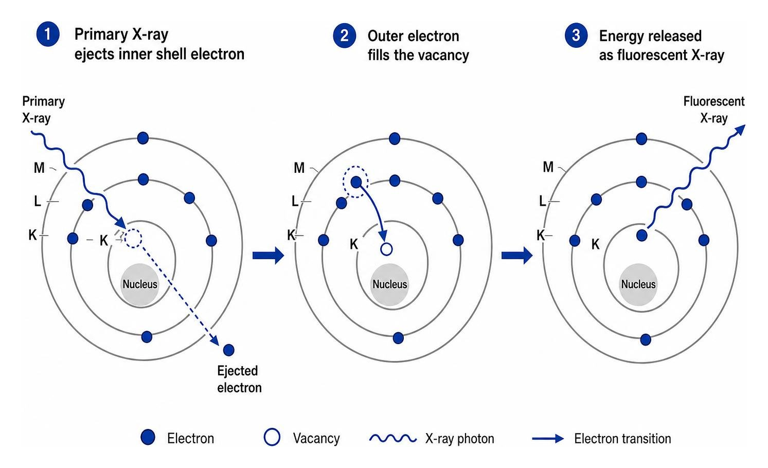 Atomic shell electron displacement showing primary X-ray ejecting inner shell electron Atomic shell electron displacement showing primary X-ray ejecting inner shell electron
