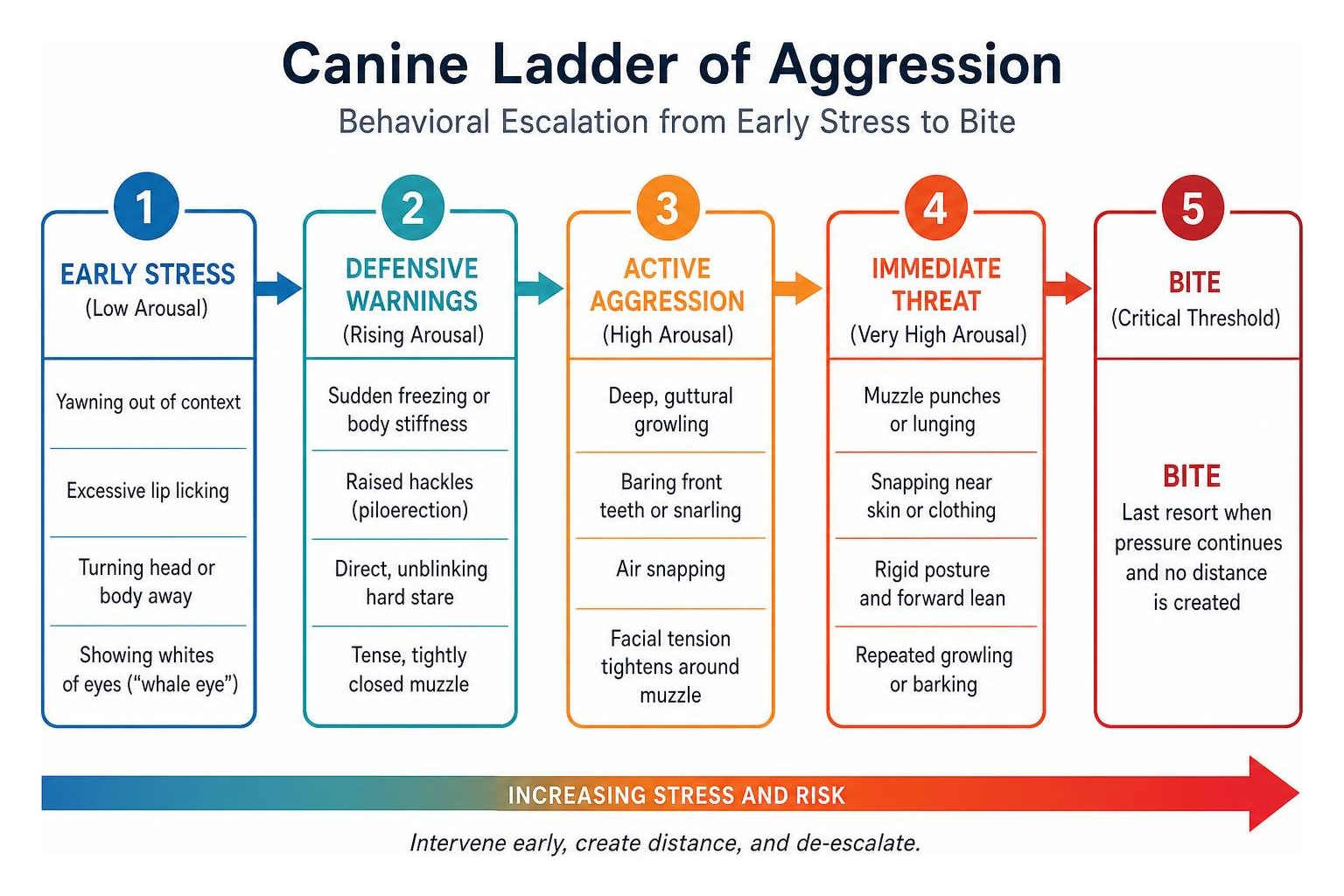 Canine ladder of aggression progression diagram